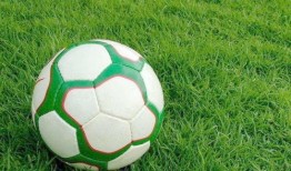 上港足球爆料视频最新下载,揭秘球队备战与战术调整